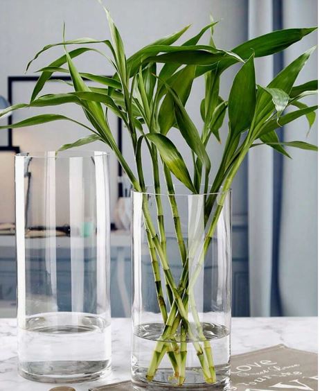 Acrylic Clear Cylinder Flower Vase