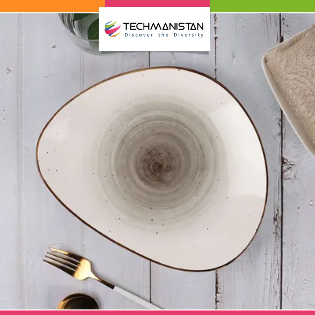 Irregular Ceramic Lunch Serving Plate