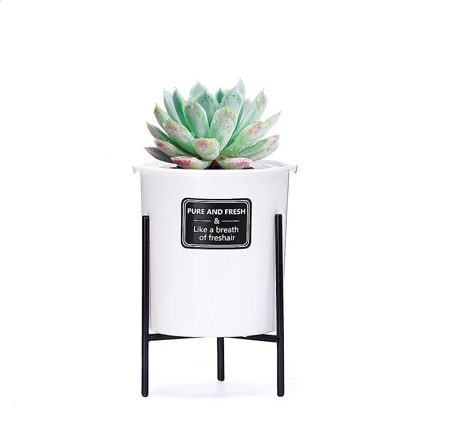 Self Watering Flower Pot With Iron Stand, Indoor Plastic Flower Pot With Cotton Rope, Stand & Container For Water, Self Watering Style Lazy Pot & Iron Stand