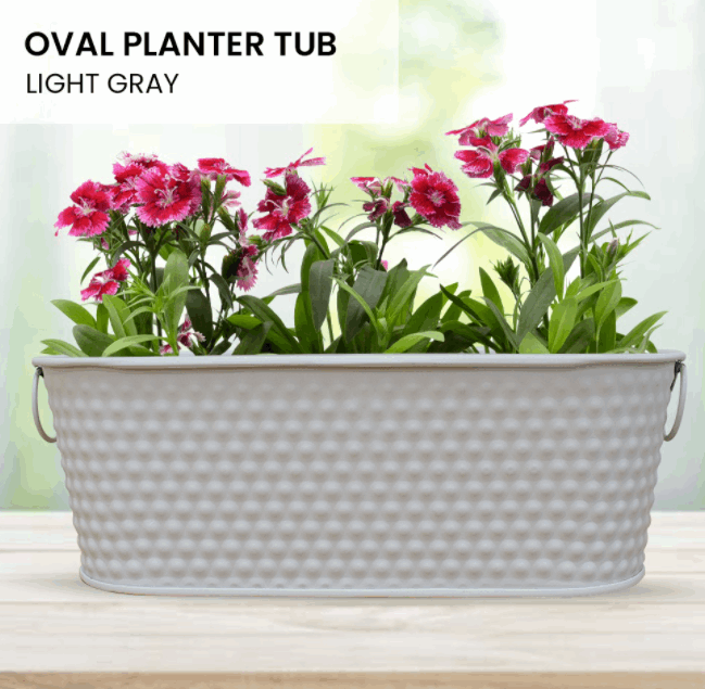 Oval Metal Bucket Planter – Hanging Garden Pot