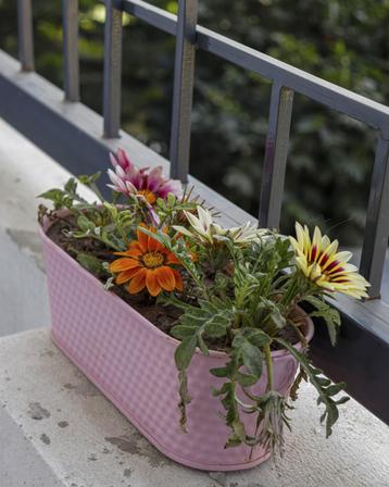 Oval Metal Bucket Planter – Hanging Garden Pot