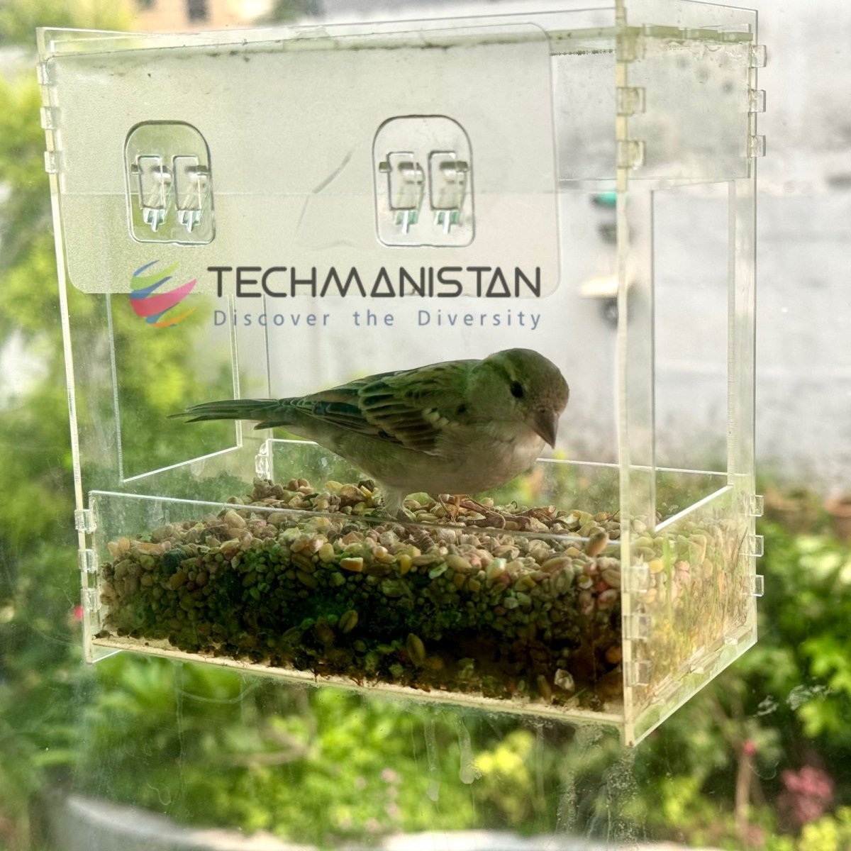 Transparent Acrylic Window Clear Bird Feeders with FREE Birds Feed
