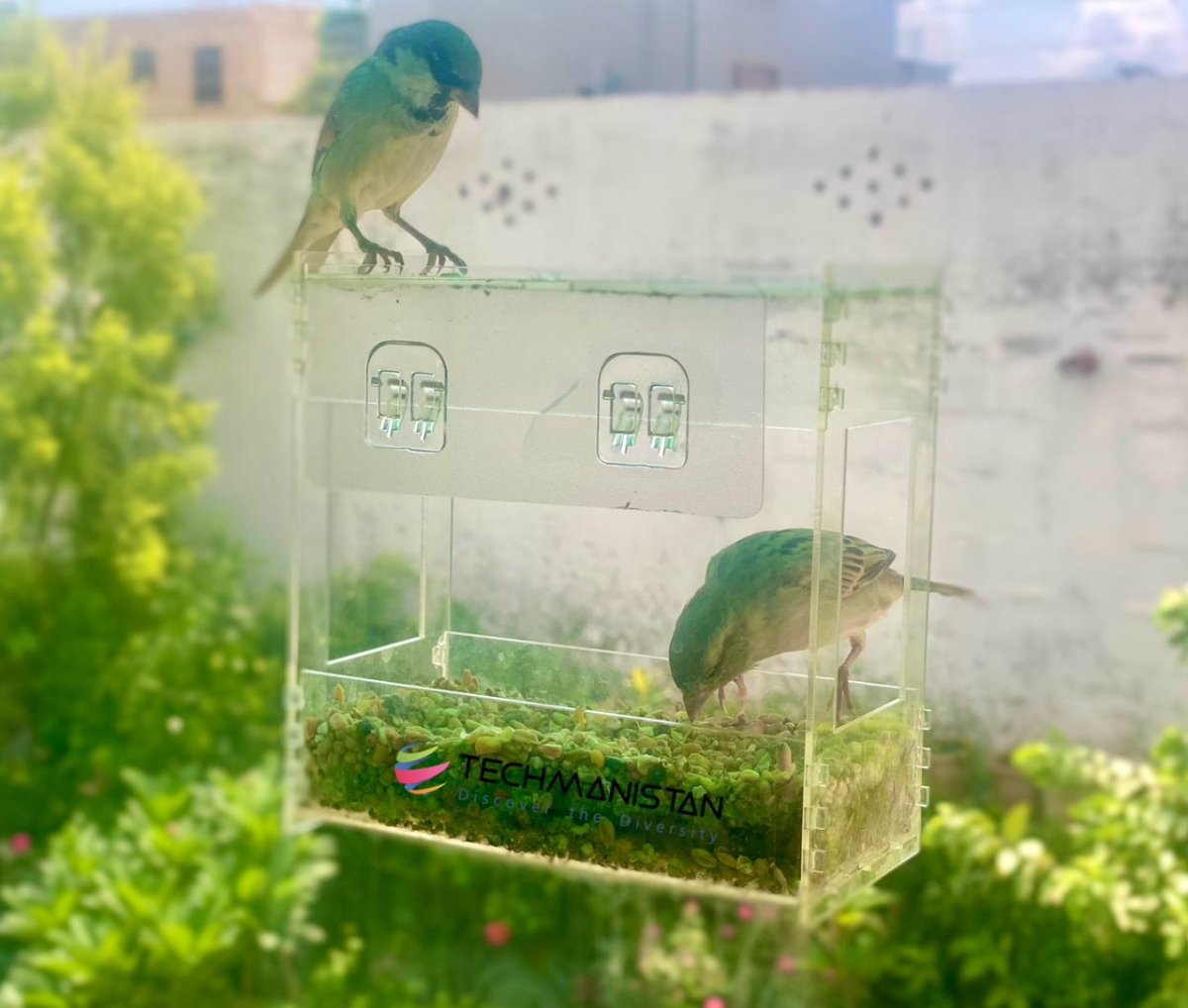 Transparent Acrylic Window Clear Bird Feeders with FREE Birds Feed