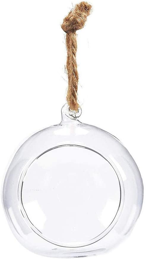 Transparent Globe Hanging Glass Vase