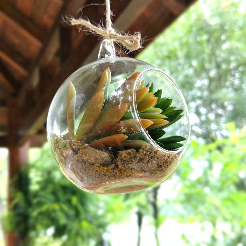 Transparent Globe Hanging Glass Vase