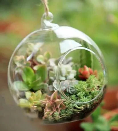 Transparent Globe Hanging Glass Vase