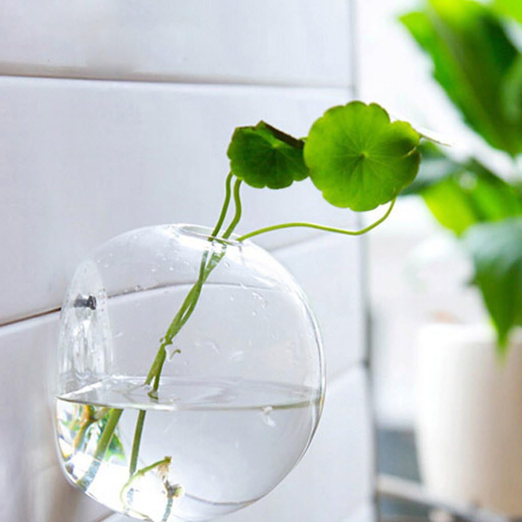 Wall Mounted Hanging Glass Vase
