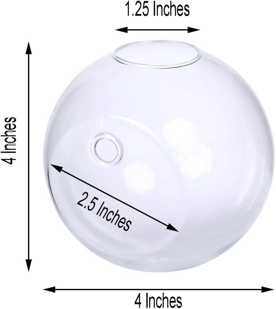 Wall Mounted Hanging Glass Vase