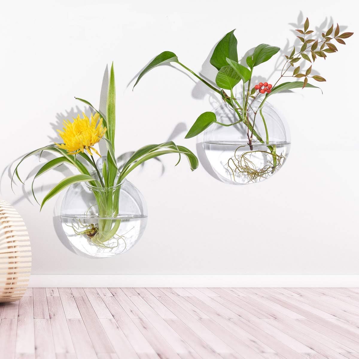 Wall Mounted Hanging Glass Vase