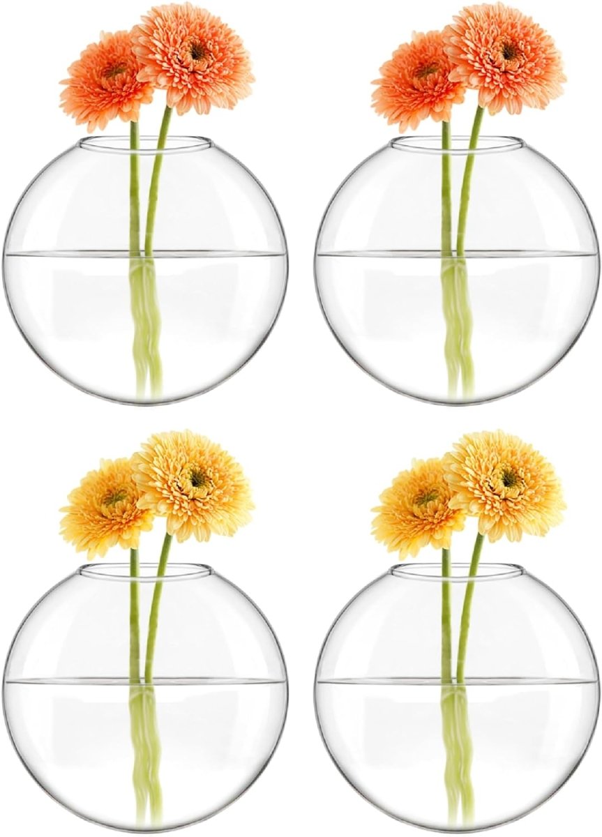 Wall Mounted Hanging Glass Vase